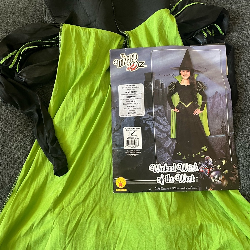 Wicked Witch of the West Costume (Same Day Shipping)